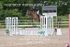BPP_1676