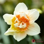 190327-untitled-1L4A0515-Edit