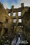 Griffe Mill 7