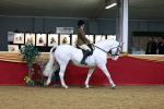 SBM_00295