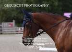 BPP_6497