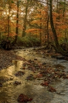 Autumn at Wenchford