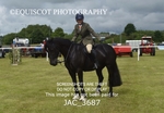 JAC_3687