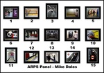 ARPS Panel