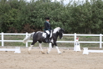 SBM_002195