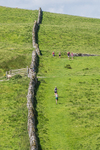 Settle Hills-3