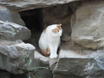 CHINA__1299