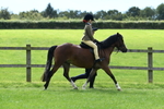 SBM_42527