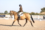 SBM_01686