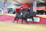 SBM_15014