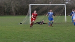 Ibis Reserves v Ambleside United (Saturday 18th January) portfolio
