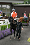 080726-Race 1-Classy Clarets-6652