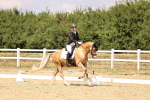 SBM_008787