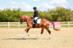 SBM_000334