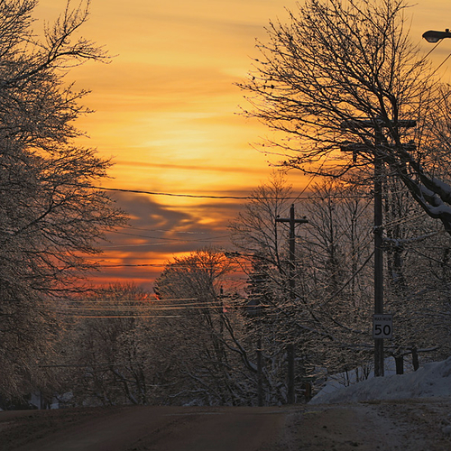 Heavily frosted trees appear in sharp contrast to the hues of twilight along the Old Rothesay Road at Kingshurst, NB.
