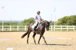 SBM_010201