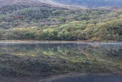 Early Autumn