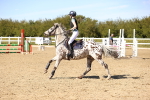SBM_003259