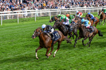 210826-Race 4-Bacio-0254