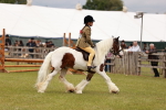 SBM_06201