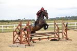 SBM_003301