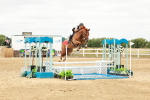 SBM_017686