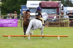 SBM_08250