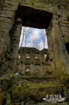 Griffe Mill 2