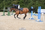 Cls 5 Foxhunter & 1.20m Open portfolio