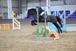 SBM_004593