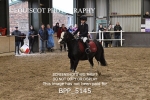BPP_5145