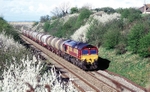 Bridgwater & Highbridge, Somerset portfolio