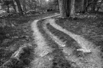 Day 21 - Three Paths
