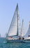 190629 SEA THYME GBR3571L 1Y3A0426_Edit