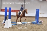 BPP_3011