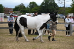 WJ6_8362