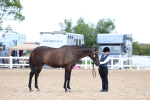 SBM_05700