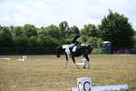 WJ6_4378