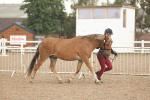SBM_07734