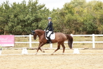 SBM_003813