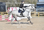 BPP_7247