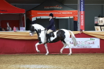 SBM_20490