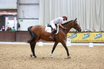 SBM_003902