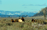 3HPhotography_Grand_Teton_OCT2025_00587