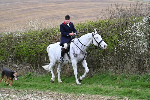 WJ7_8513