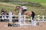 BPP_3602