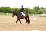 SBM_006604