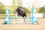 SBM_003929