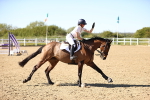 SBM_003376