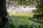 z4034 Morning Mists, Big Mead, Shanklin